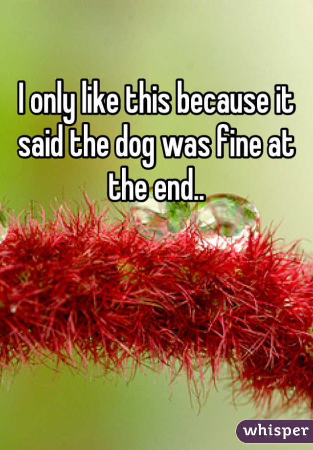 I only like this because it said the dog was fine at the end..