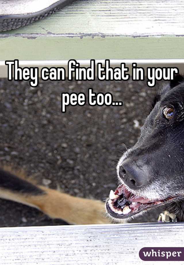 They can find that in your pee too...