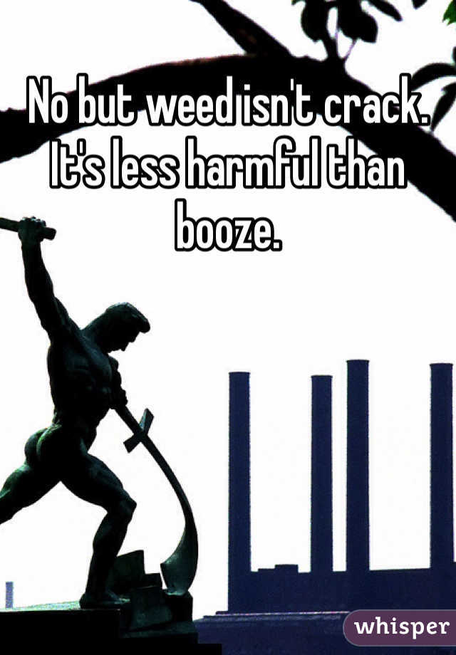 No but weed isn't crack. It's less harmful than booze. 