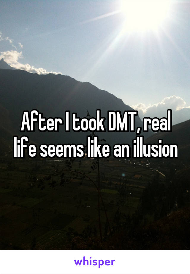 After I took DMT, real life seems like an illusion