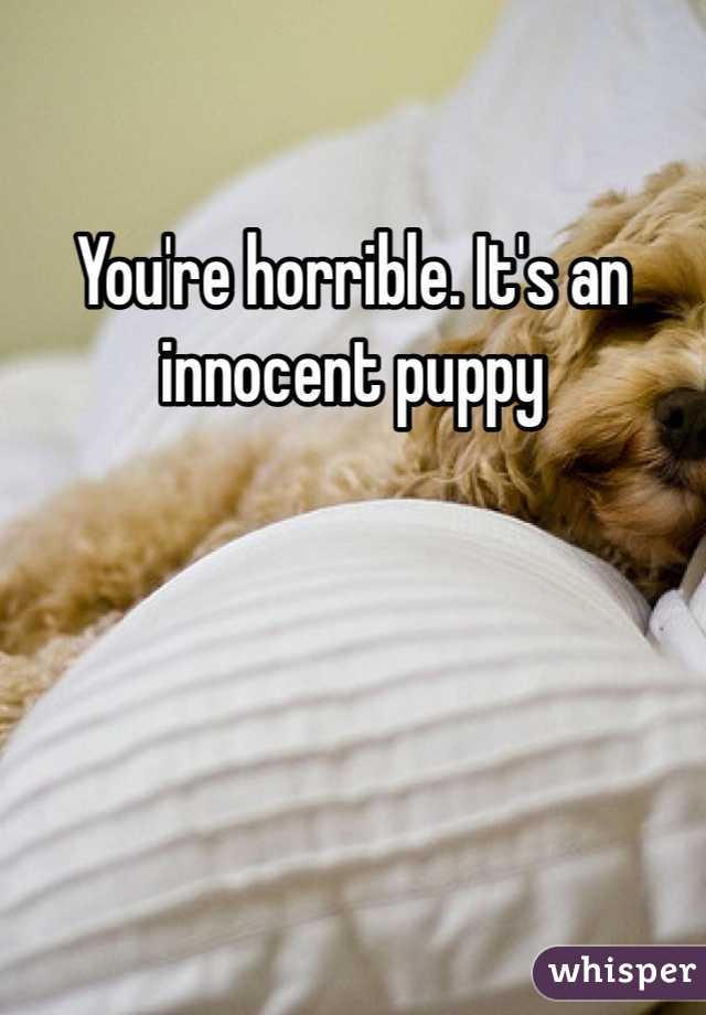 You're horrible. It's an innocent puppy