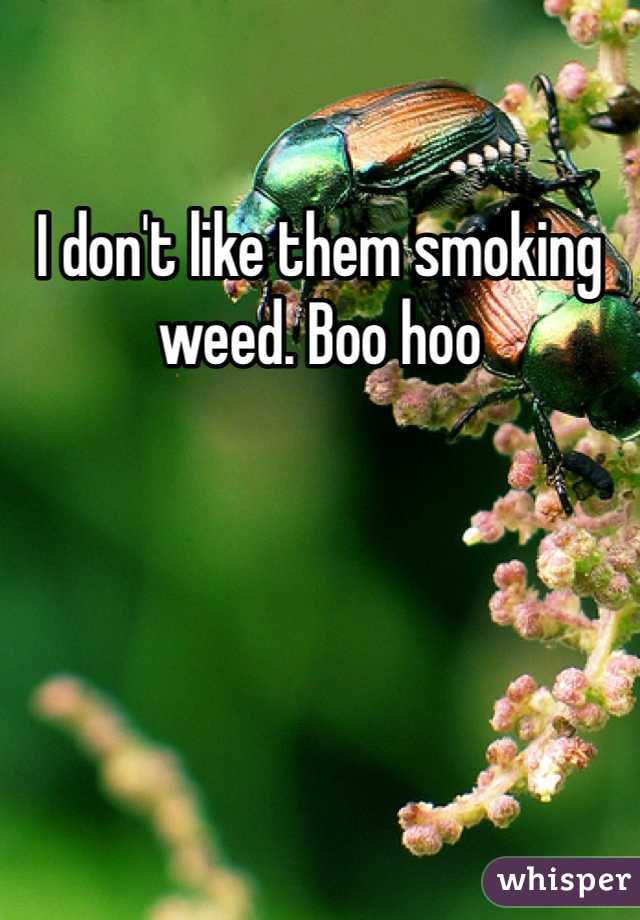 I don't like them smoking weed. Boo hoo