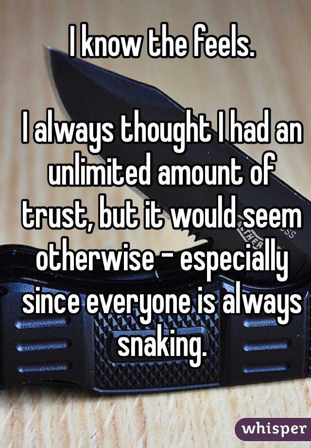 I know the feels. 

I always thought I had an unlimited amount of trust, but it would seem otherwise - especially since everyone is always snaking. 