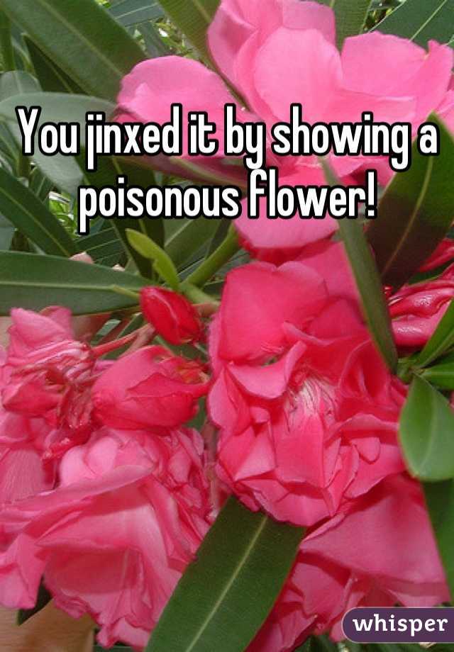 You jinxed it by showing a
poisonous flower!