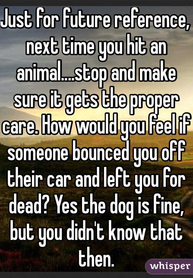 Just for future reference, next time you hit an animal....stop and make sure it gets the proper care. How would you feel if someone bounced you off their car and left you for dead? Yes the dog is fine, but you didn't know that then.