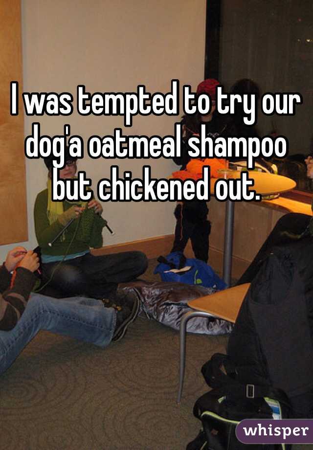 I was tempted to try our dog'a oatmeal shampoo but chickened out.