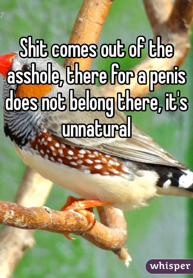 Shit comes out of the asshole, there for a penis does not belong there, it's unnatural 