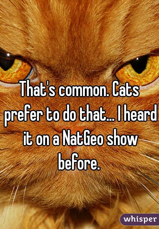 That's common. Cats prefer to do that... I heard it on a NatGeo show before. 