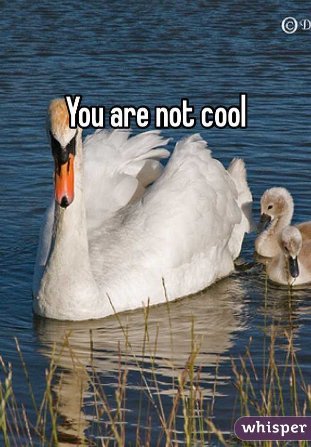 You are not cool