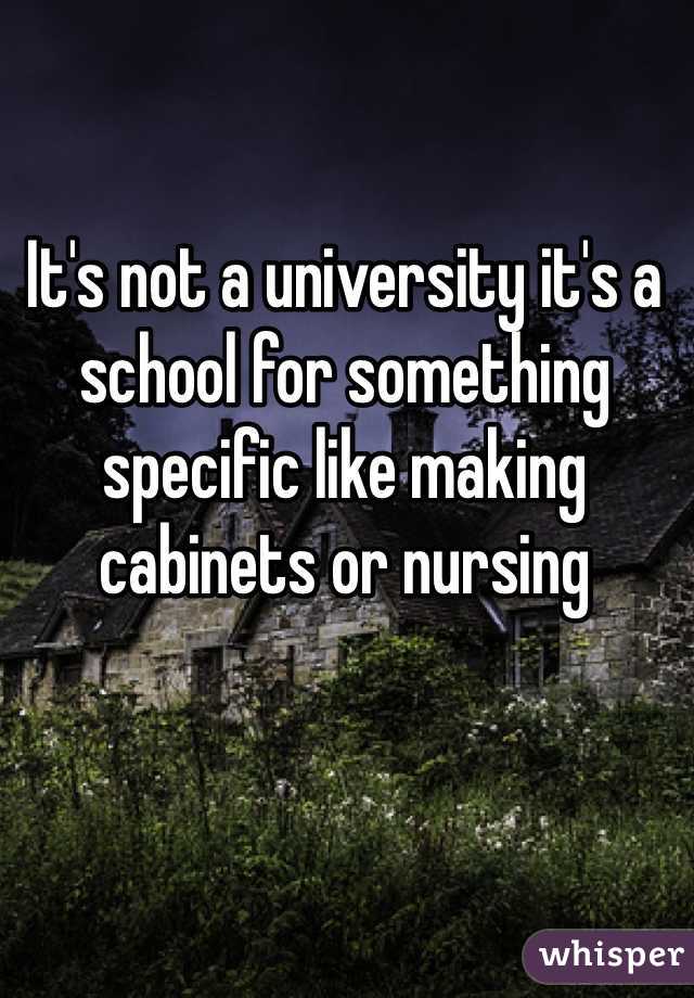 It's not a university it's a school for something specific like making cabinets or nursing 