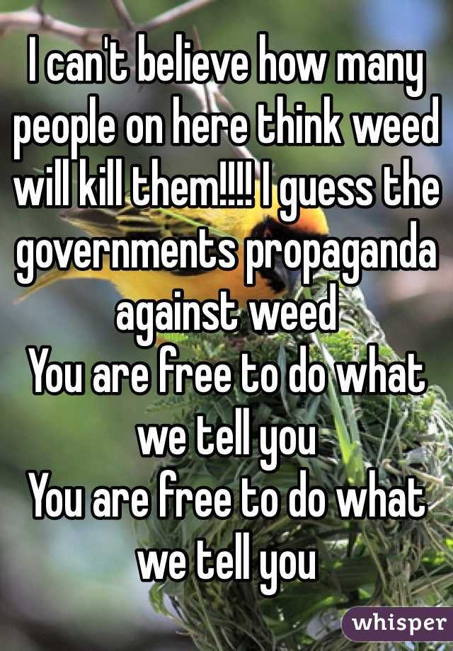 I can't believe how many people on here think weed will kill them!!!! I guess the governments propaganda against weed
You are free to do what we tell you
You are free to do what we tell you