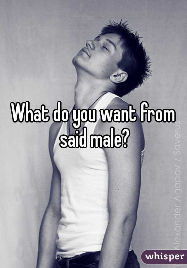 What do you want from said male?