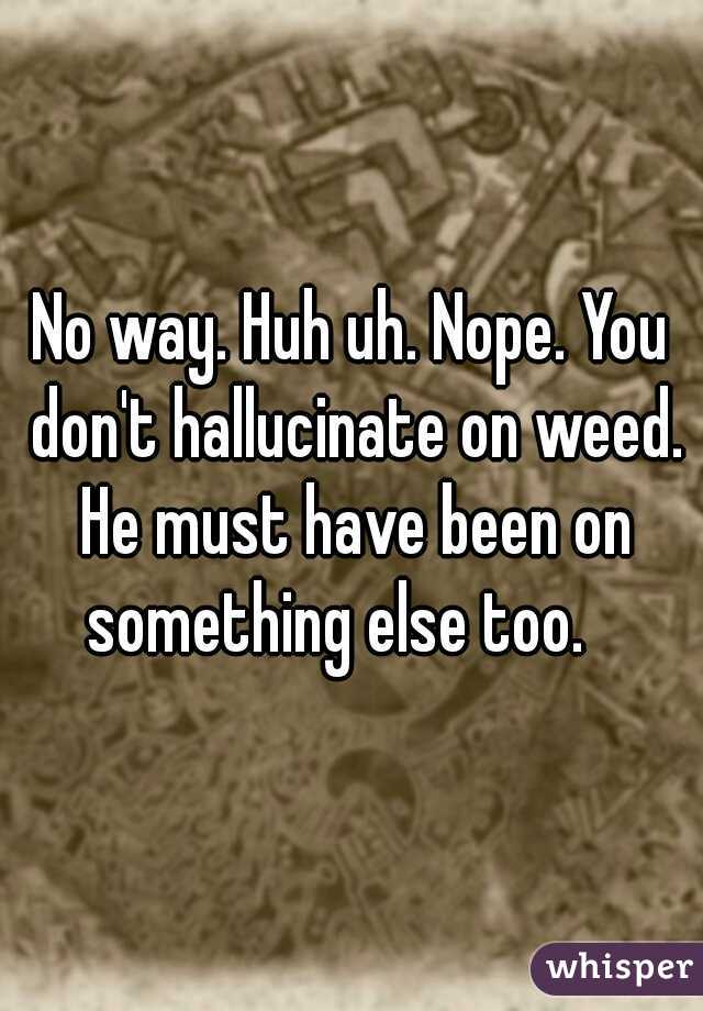 No way. Huh uh. Nope. You don't hallucinate on weed. He must have been on something else too.   