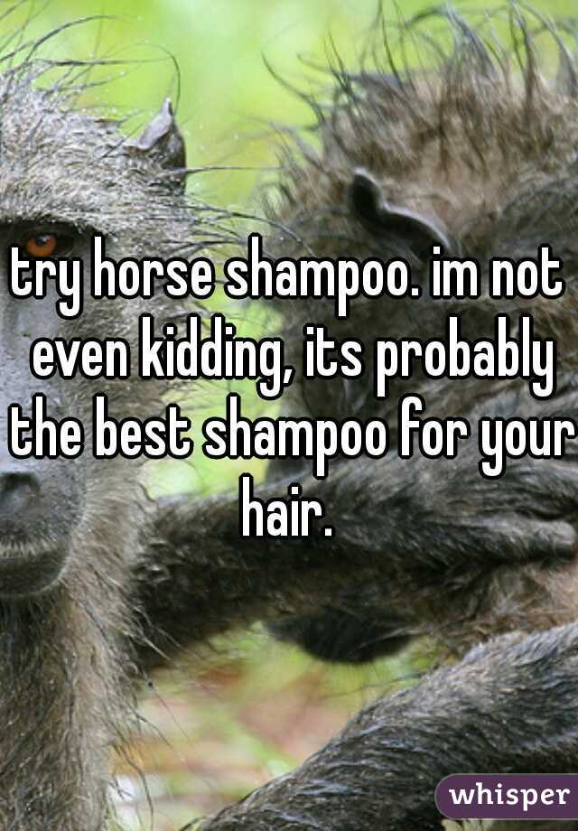 try horse shampoo. im not even kidding, its probably the best shampoo for your hair. 