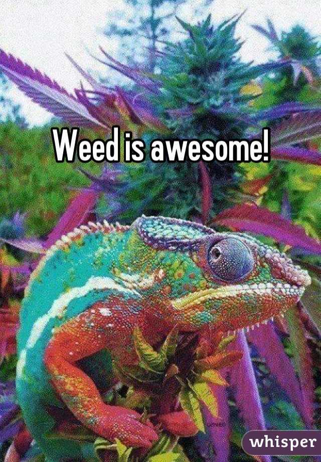 Weed is awesome!