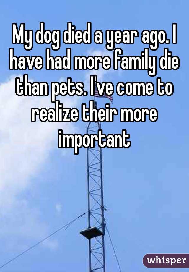 My dog died a year ago. I have had more family die than pets. I've come to realize their more important