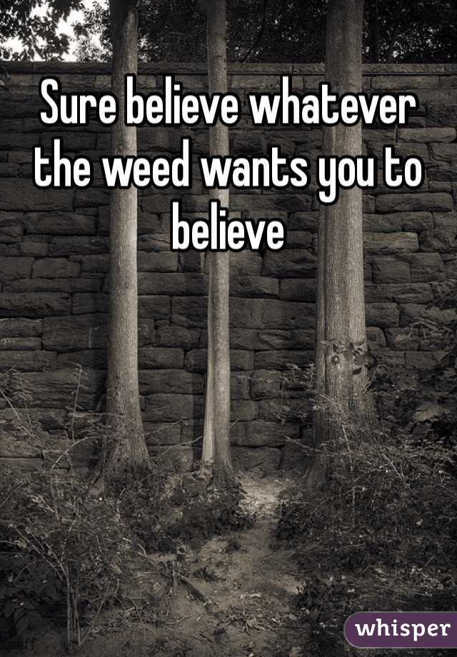 Sure believe whatever the weed wants you to believe 