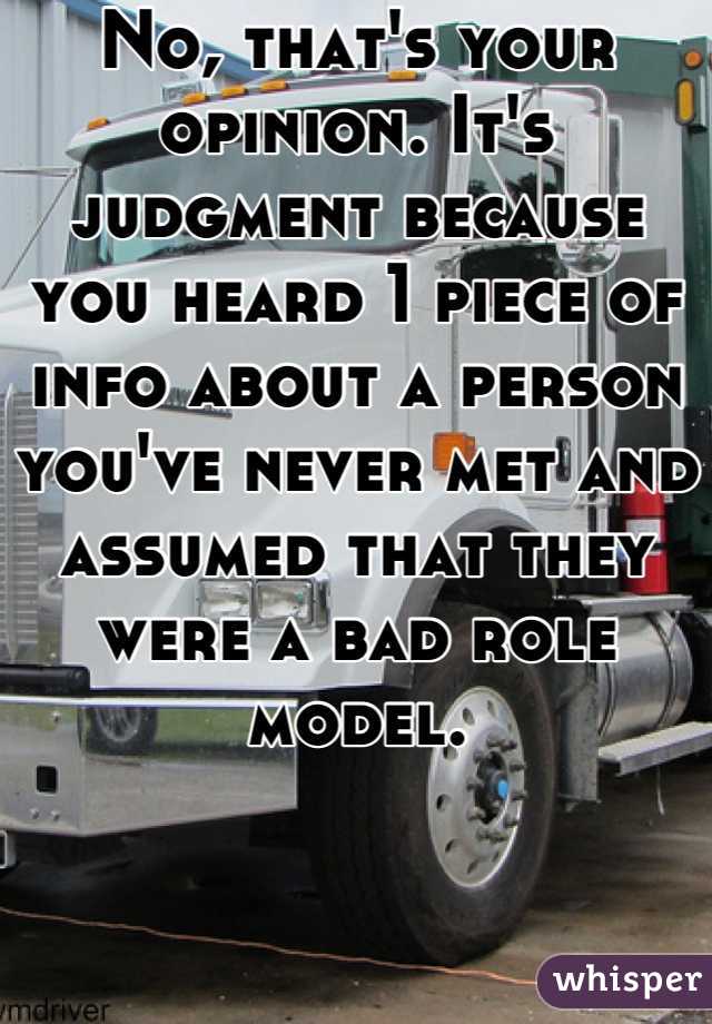 No, that's your opinion. It's judgment because you heard 1 piece of info about a person you've never met and assumed that they were a bad role model.