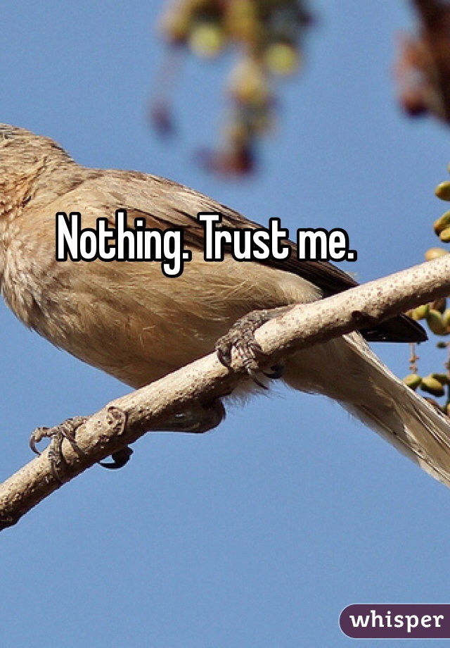 Nothing. Trust me. 