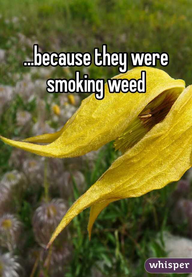 ...because they were smoking weed