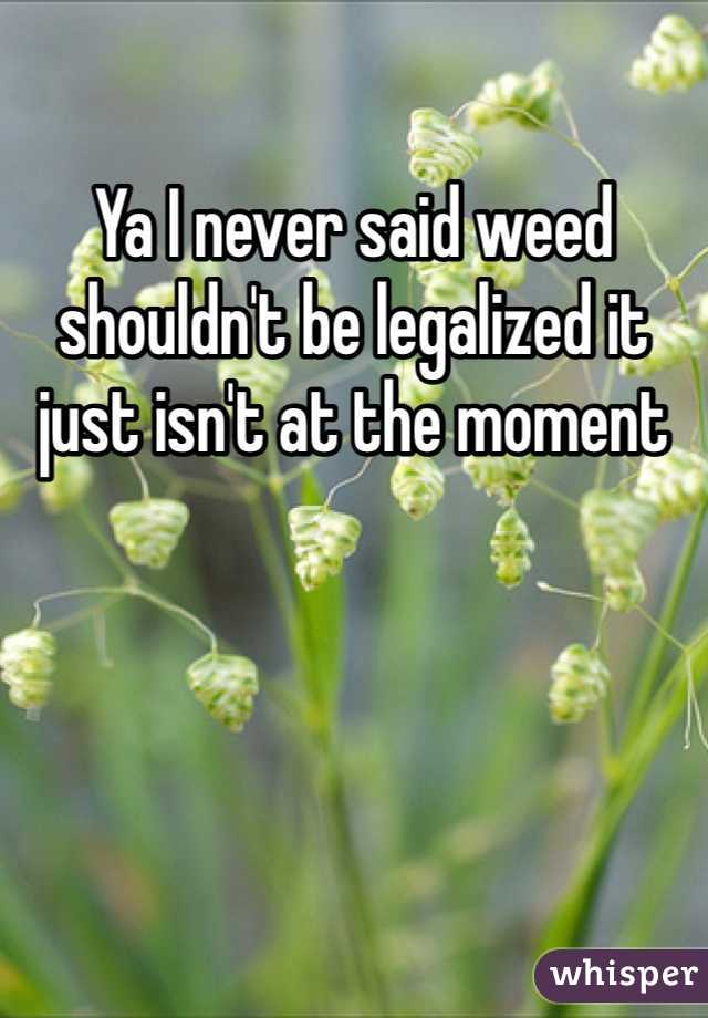 Ya I never said weed shouldn't be legalized it just isn't at the moment