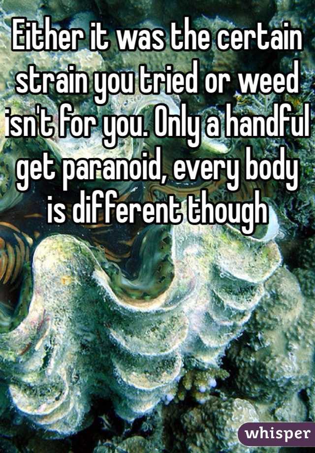 Either it was the certain strain you tried or weed isn't for you. Only a handful get paranoid, every body is different though 