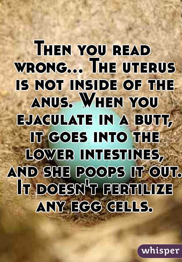 Then you read wrong... The uterus is not inside of the anus. When you ejaculate in a butt, it goes into the lower intestines, and she poops it out. It doesn't fertilize any egg cells.