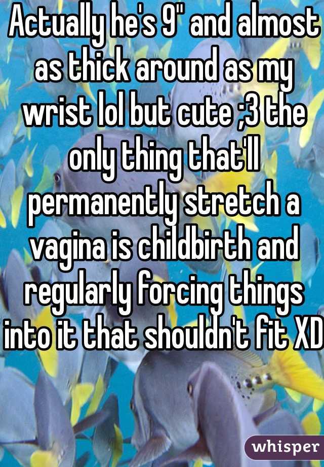 Actually he's 9" and almost as thick around as my wrist lol but cute ;3 the only thing that'll permanently stretch a vagina is childbirth and regularly forcing things into it that shouldn't fit XD