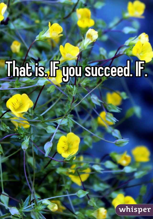 That is. IF you succeed. IF. 