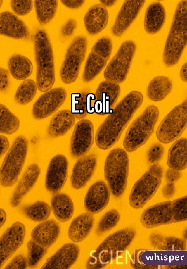 E. Coli.