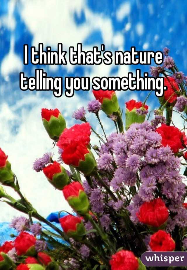 I think that's nature telling you something.
