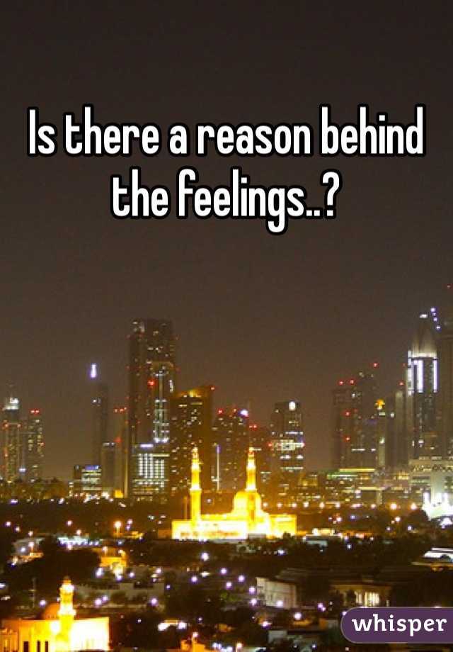 Is there a reason behind the feelings..?