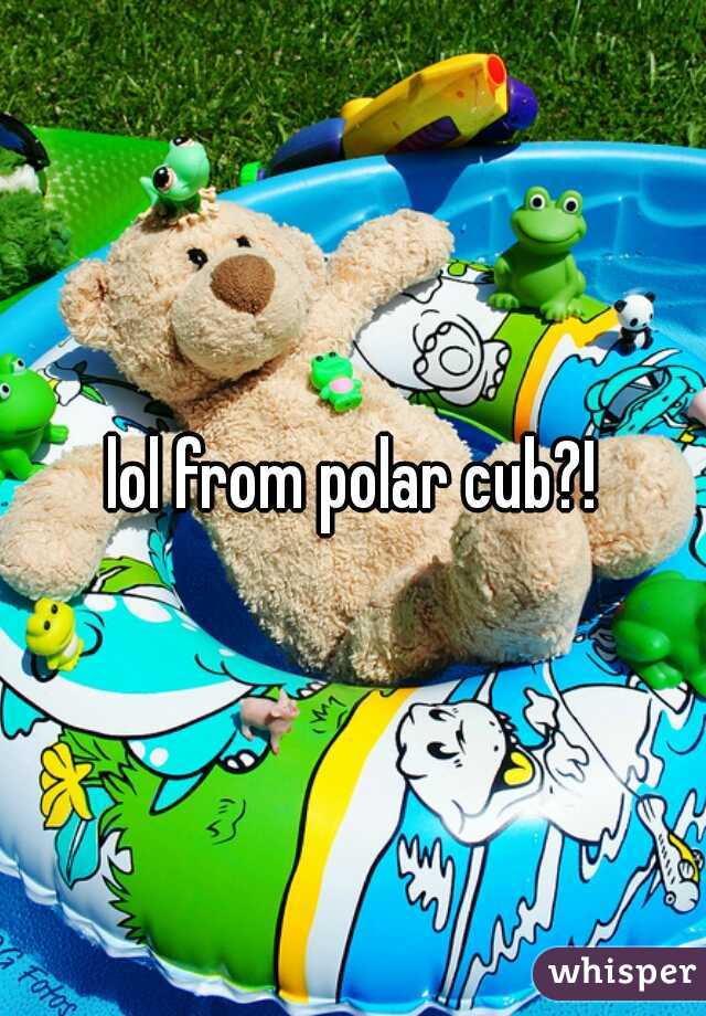 lol from polar cub?!