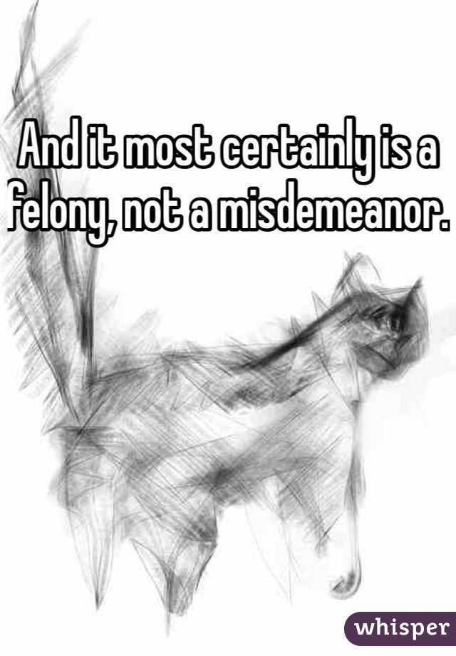 And it most certainly is a felony, not a misdemeanor. 