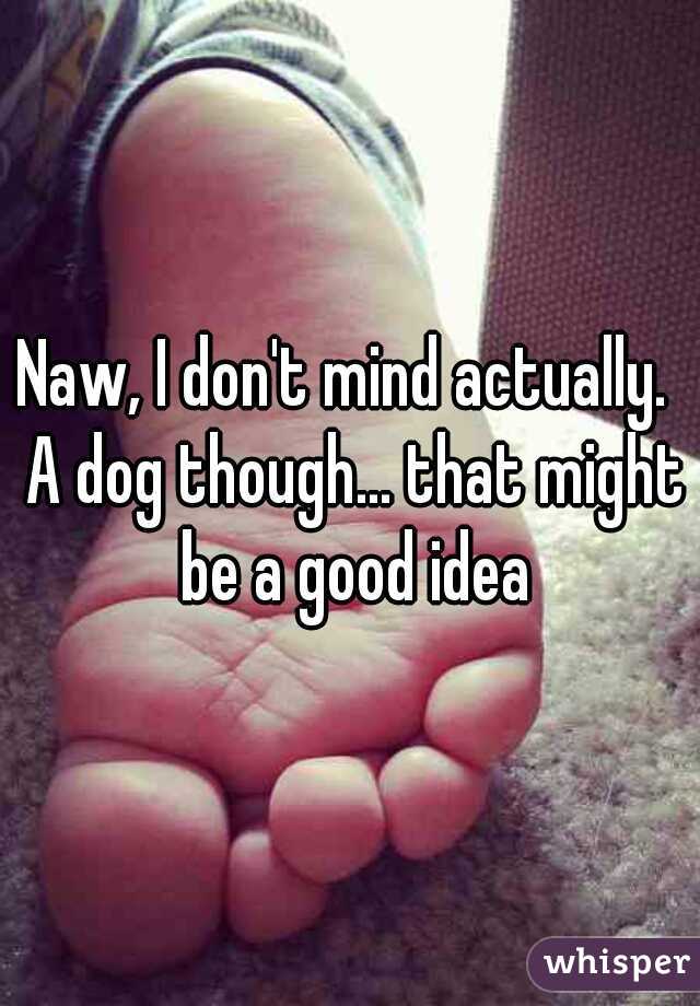 Naw, I don't mind actually.  A dog though... that might be a good idea