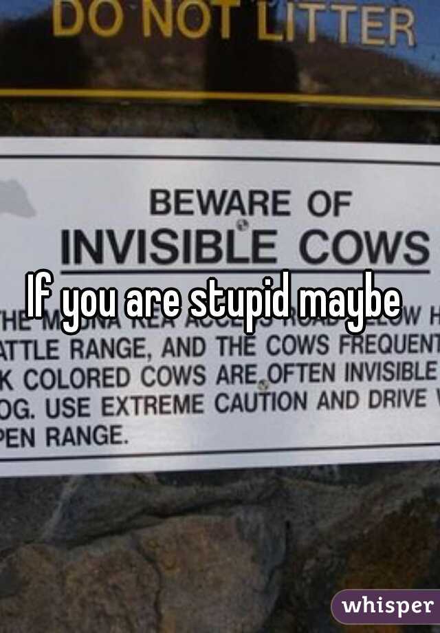 If you are stupid maybe 