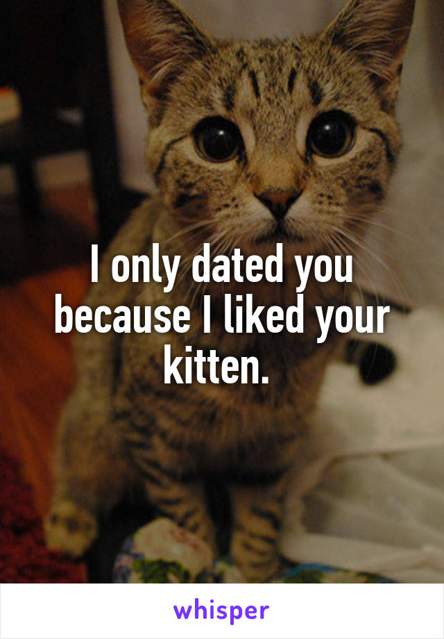 I only dated you because I liked your kitten. 