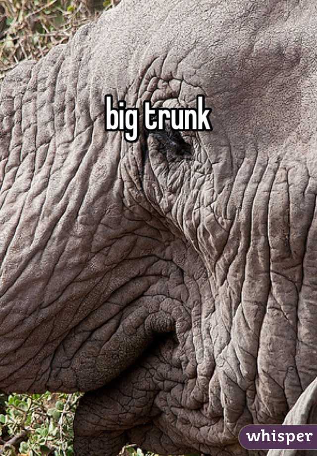 big trunk