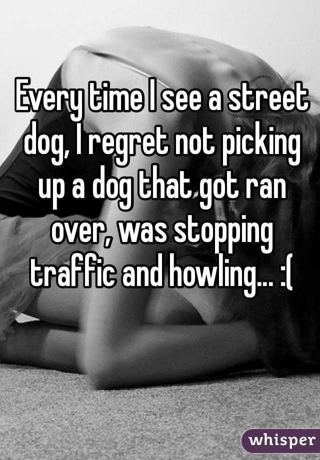 Every time I see a street dog, I regret not picking up a dog that got ran over, was stopping traffic and howling... :(  