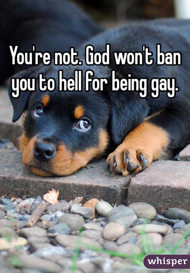 You're not. God won't ban you to hell for being gay. 