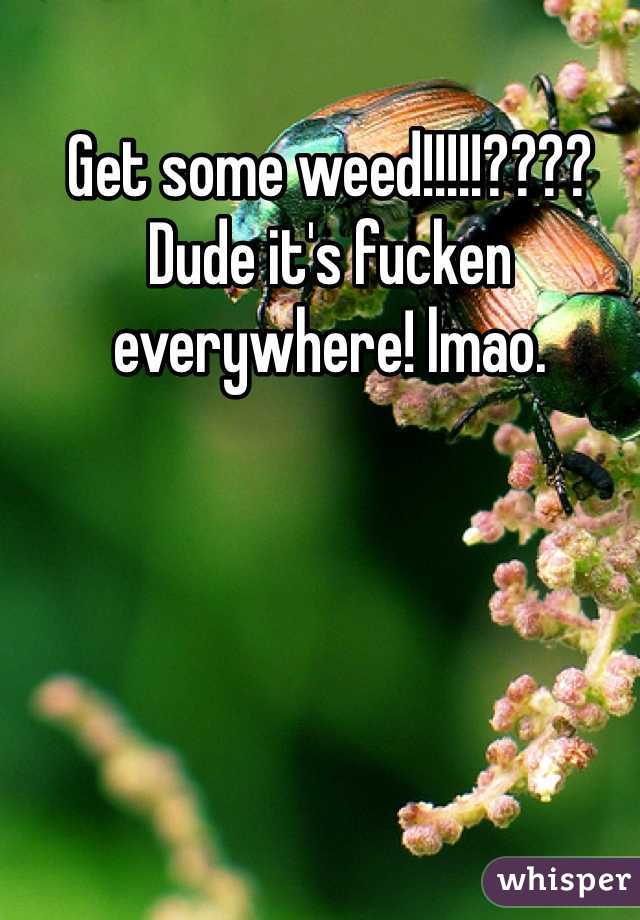 Get some weed!!!!!???? Dude it's fucken everywhere! lmao. 