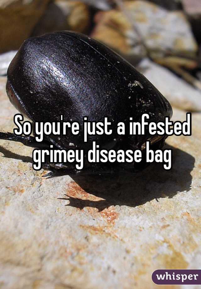 So you're just a infested grimey disease bag