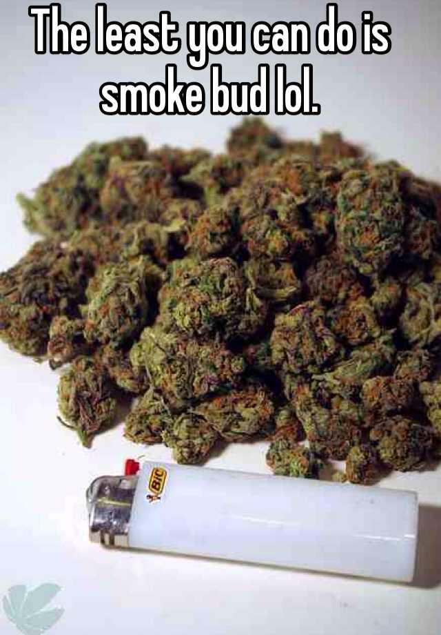 The least you can do is smoke bud lol.