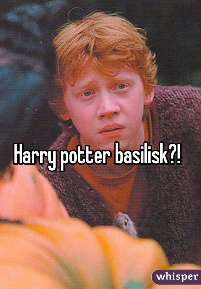 Harry potter basilisk?!