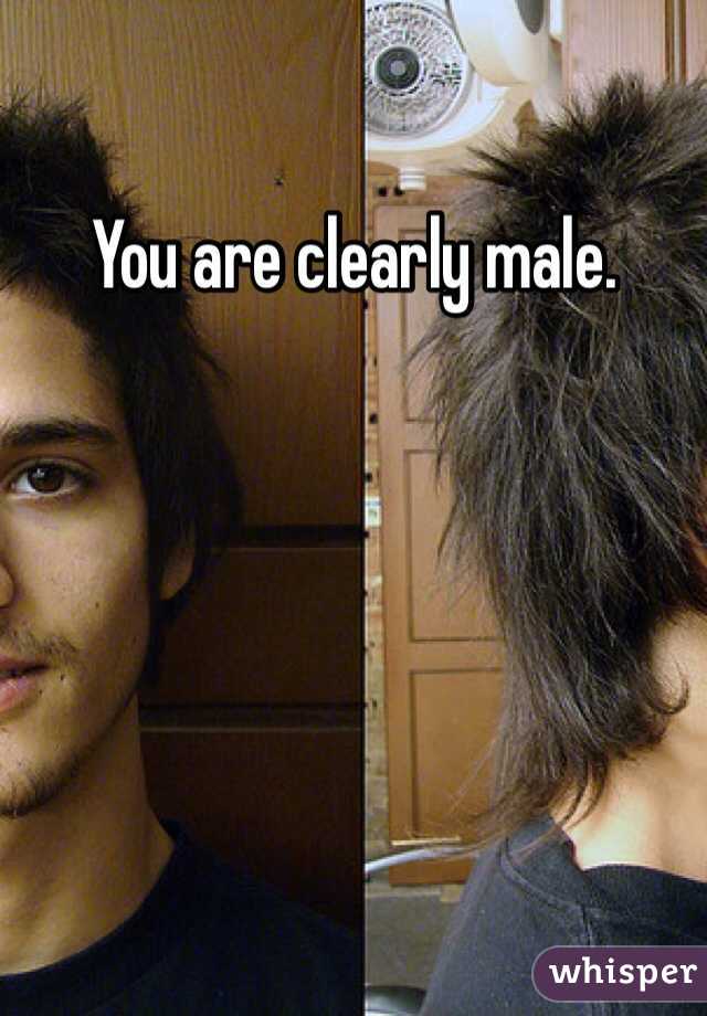 You are clearly male.