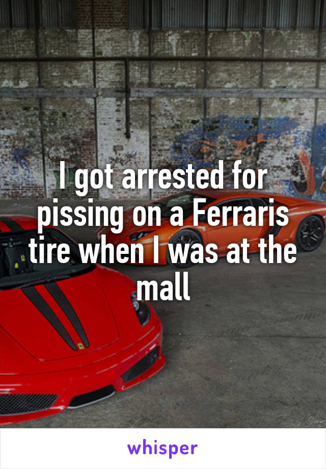 I got arrested for pissing on a Ferraris tire when I was at the mall