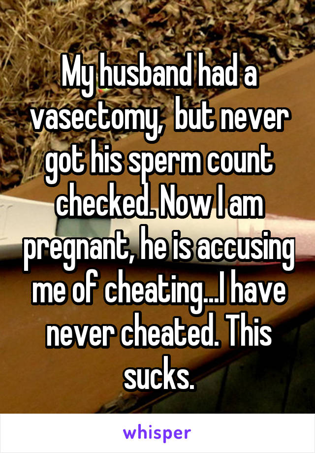 My husband had a vasectomy,  but never got his sperm count checked. Now I am pregnant, he is accusing me of cheating...I have never cheated. This sucks.