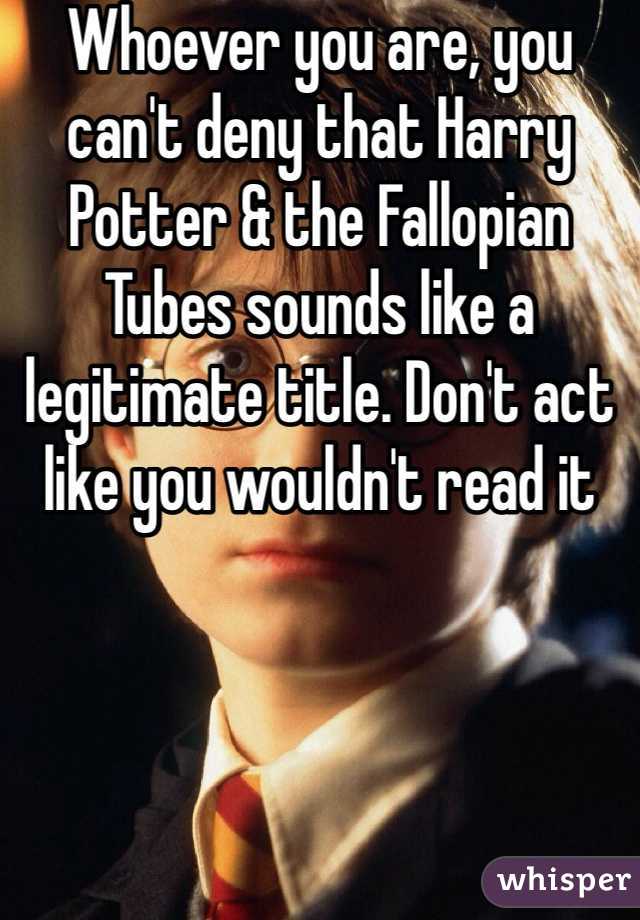 Whoever you are, you can't deny that Harry Potter & the Fallopian Tubes sounds like a legitimate title. Don't act like you wouldn't read it