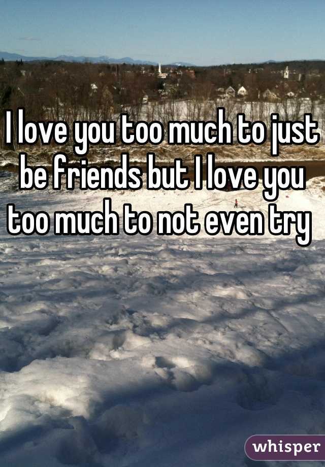 I love you too much to just be friends but I love you too much to not even try 