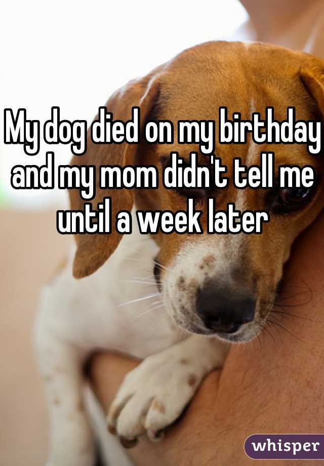 My dog died on my birthday and my mom didn't tell me until a week later